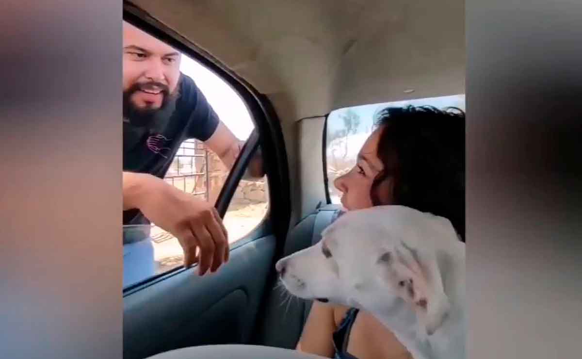 Mujer se venga de su novio por mentirle que había perdido a su perrita.