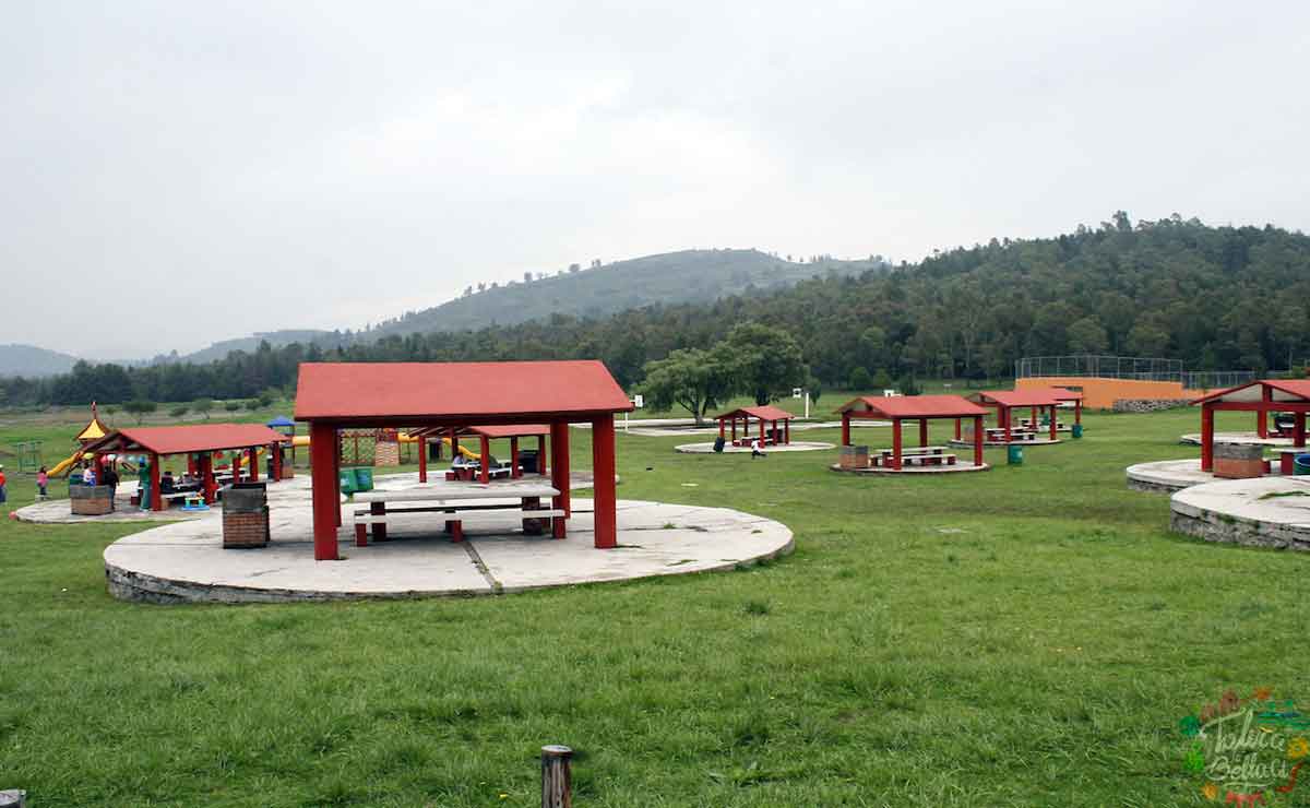 Nuevos horarios de parques y zoológicos en Edomex.