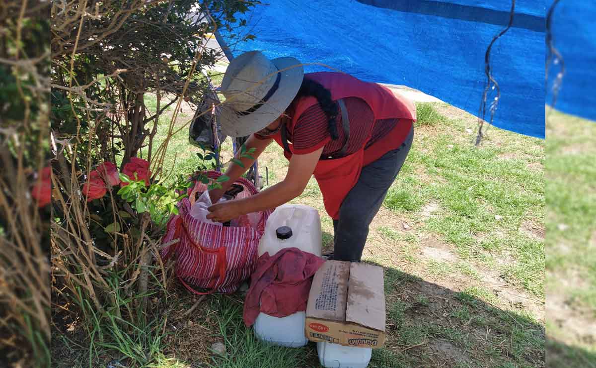 Pulque: Este es el mejor lugar de Toluca. Doña Mari vende esta bebida para mantener a su familia.