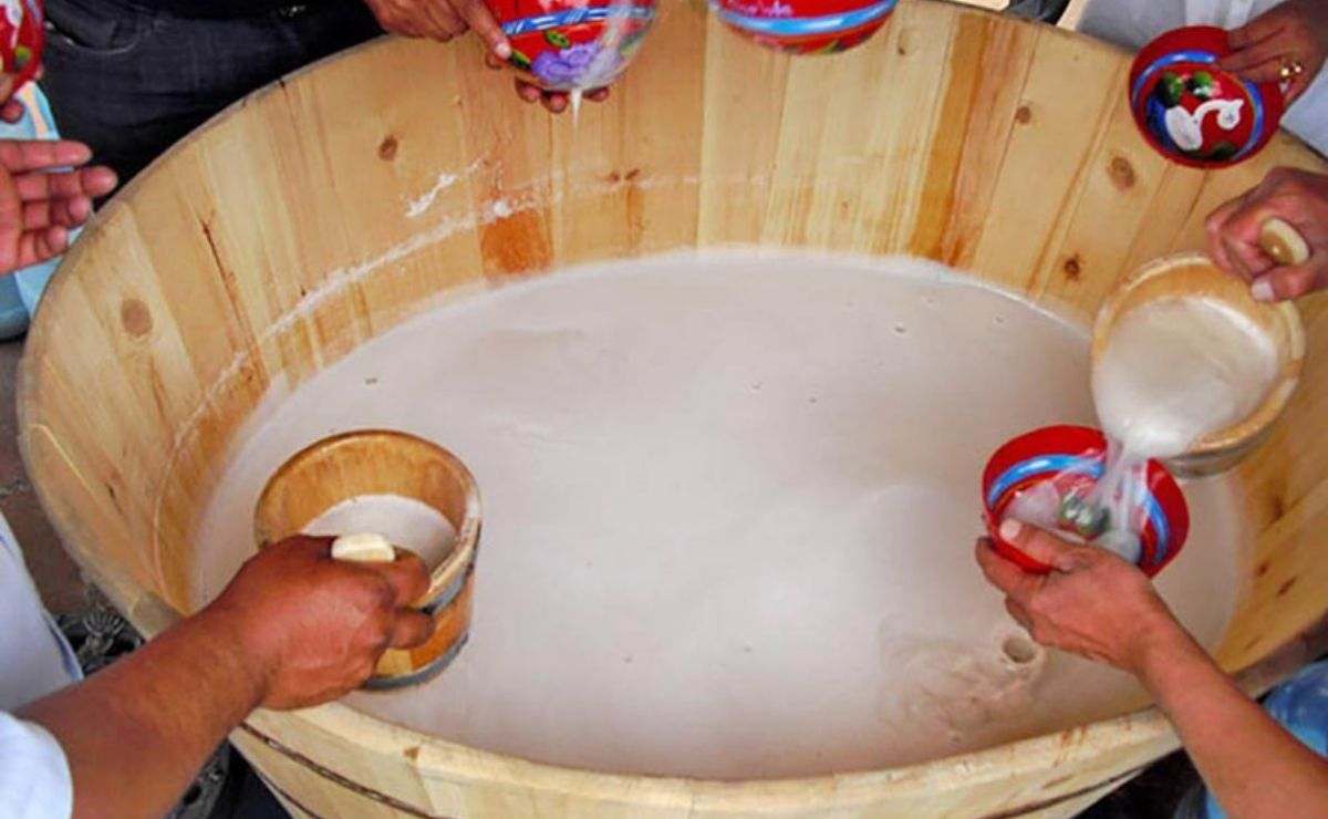 El pulque contiene un probiótico con propiedades anticancerígenas.