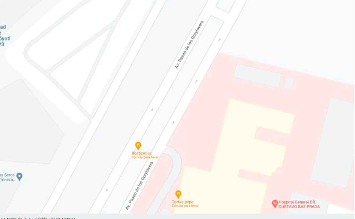 Renombran calle como Avenida Gorylovers.