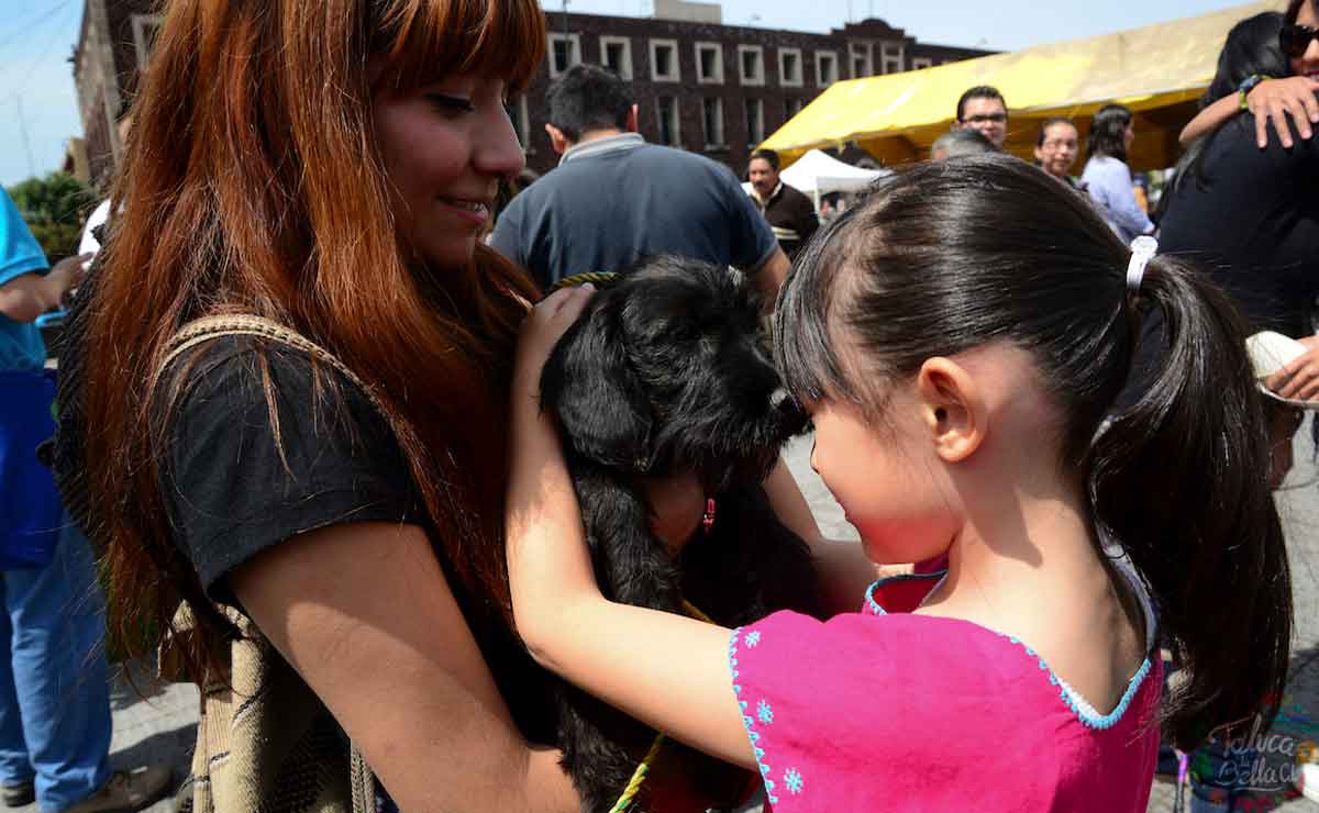 ¡Adopta y no compres! Feria de adopción en Lerma.