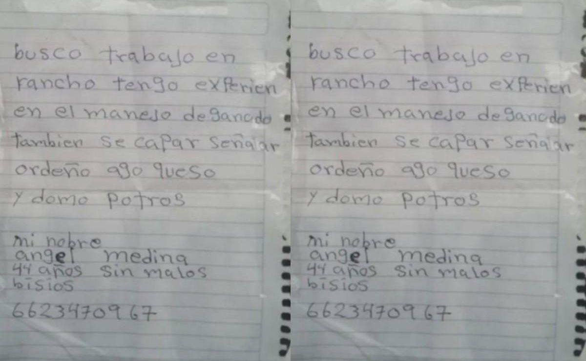 El hombre pegó varias hojas de papel con su CV por diversas partes de la ciudad, captando la atención de todos